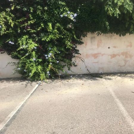 Studio 2 Adultes 2 Enfants Sanary Sur Mer A 800M De La Mer Kültér fotó