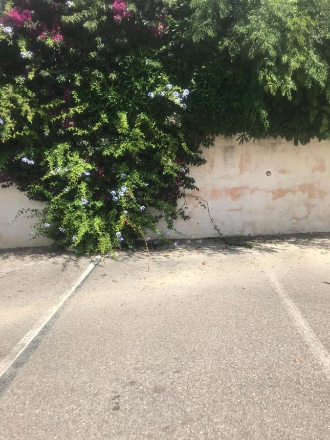 Studio 2 Adultes 2 Enfants Sanary Sur Mer A 800M De La Mer Kültér fotó